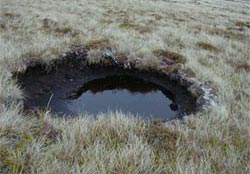 peaty-hole